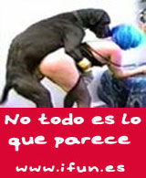 humor