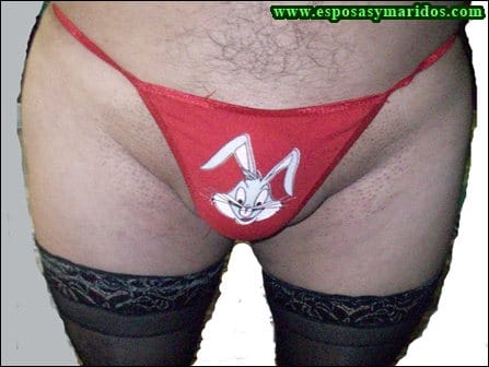 soy_aries-1