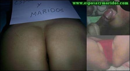 gataencelo13-1