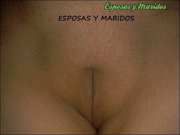 Chocho rasurado y culo listo para ser penetrado