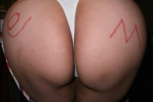 Zorra española en fotos