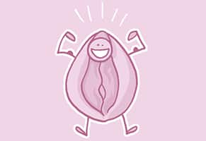 vagina saludable