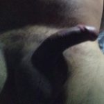 Foto del perfil de Pingo