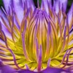 Imagen de Claudia<span class="bp-verified-badge"></span>