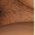 Foto del perfil de pedri